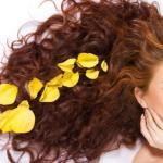 Saçları güçlendirmek için renksiz kına: uygulama özellikleri, öneriler ve incelemeler